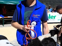 2019_ausstellung polling_424